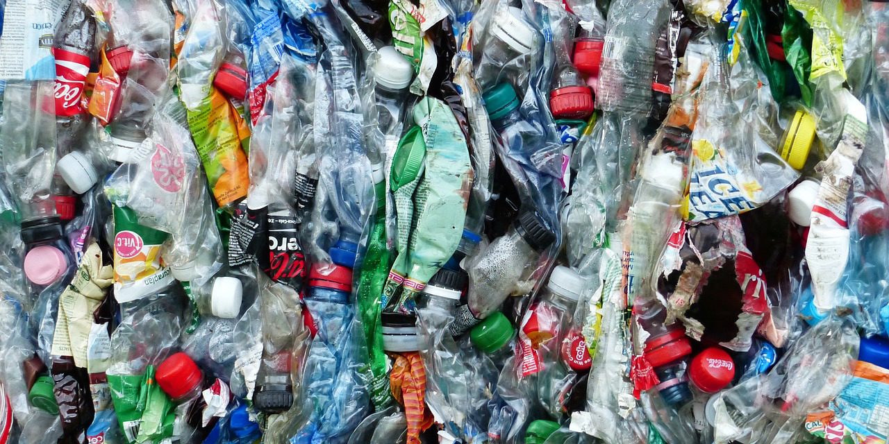 A műanyagokat lebontó mikrobákat fejlesztő Poliloop az év magyar startupja