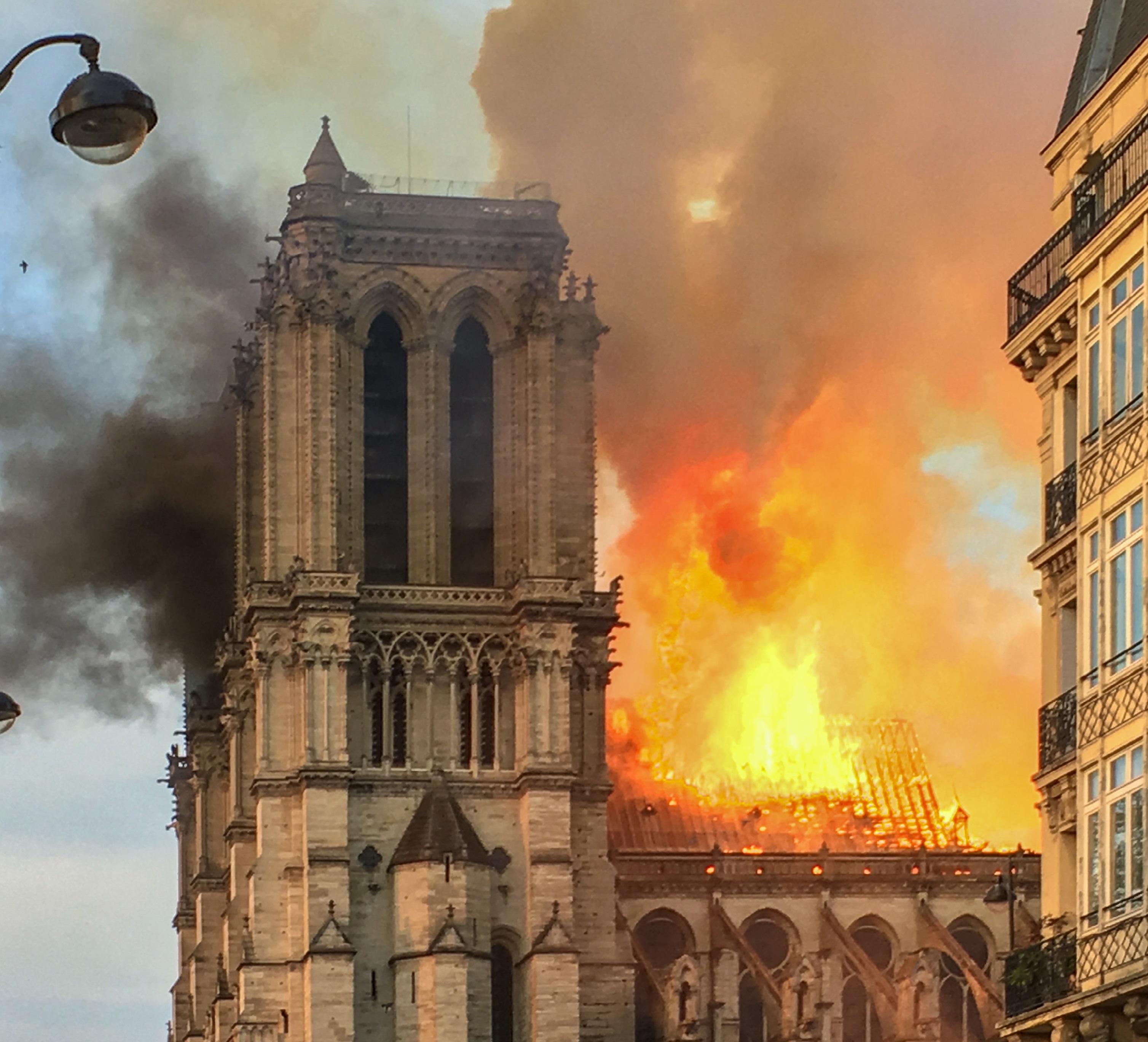 Megkezdődött a Notre-Dame helyreállításhoz szükséges fák kiválasztása