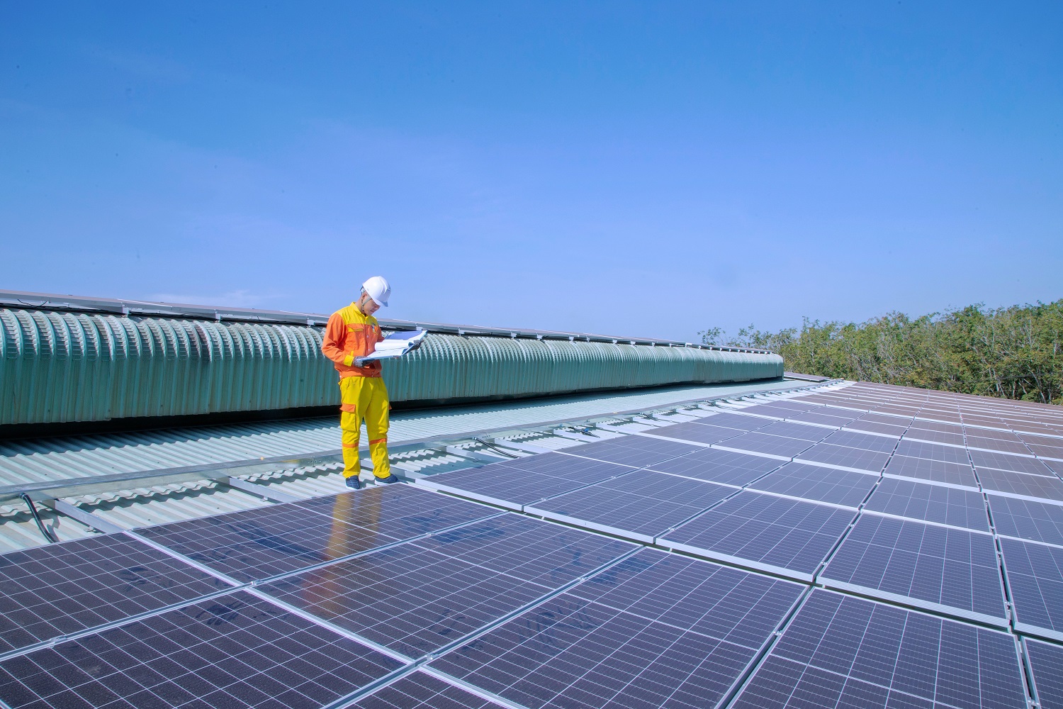 A megújuló energiaforrásból termelt villamos energia csaknem 60 százalékát napenergia biztosította