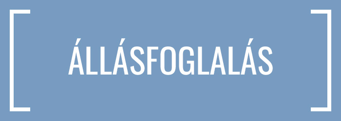 Állásfoglalás