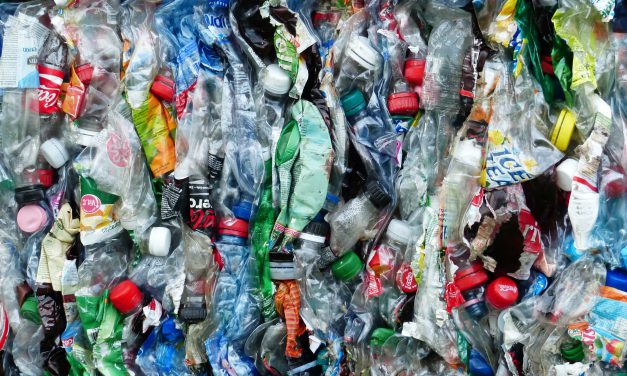 Társadalmi egyeztetésen az egyszer használatos műanyagok kiváltását támogató felhívás