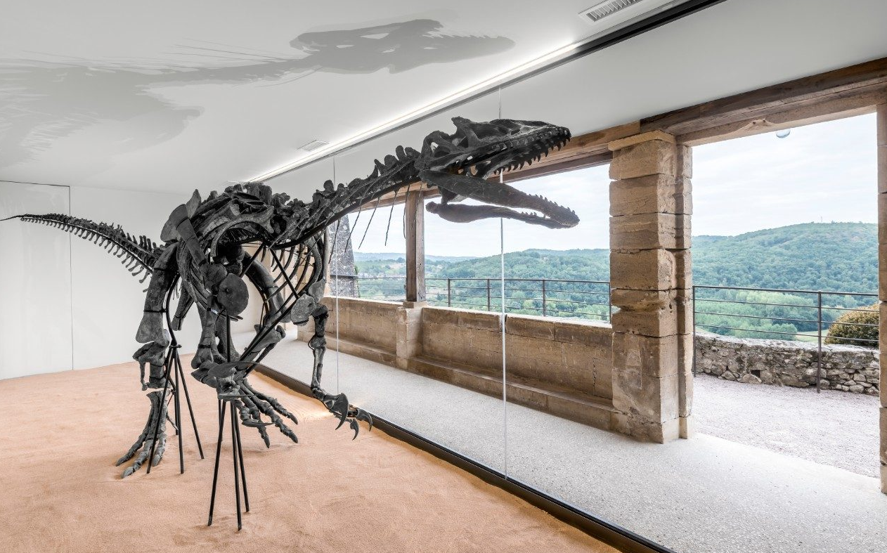 Milyen üvegen át nézi egymást a 158 millió éves dino és a múzeumi látogató?
