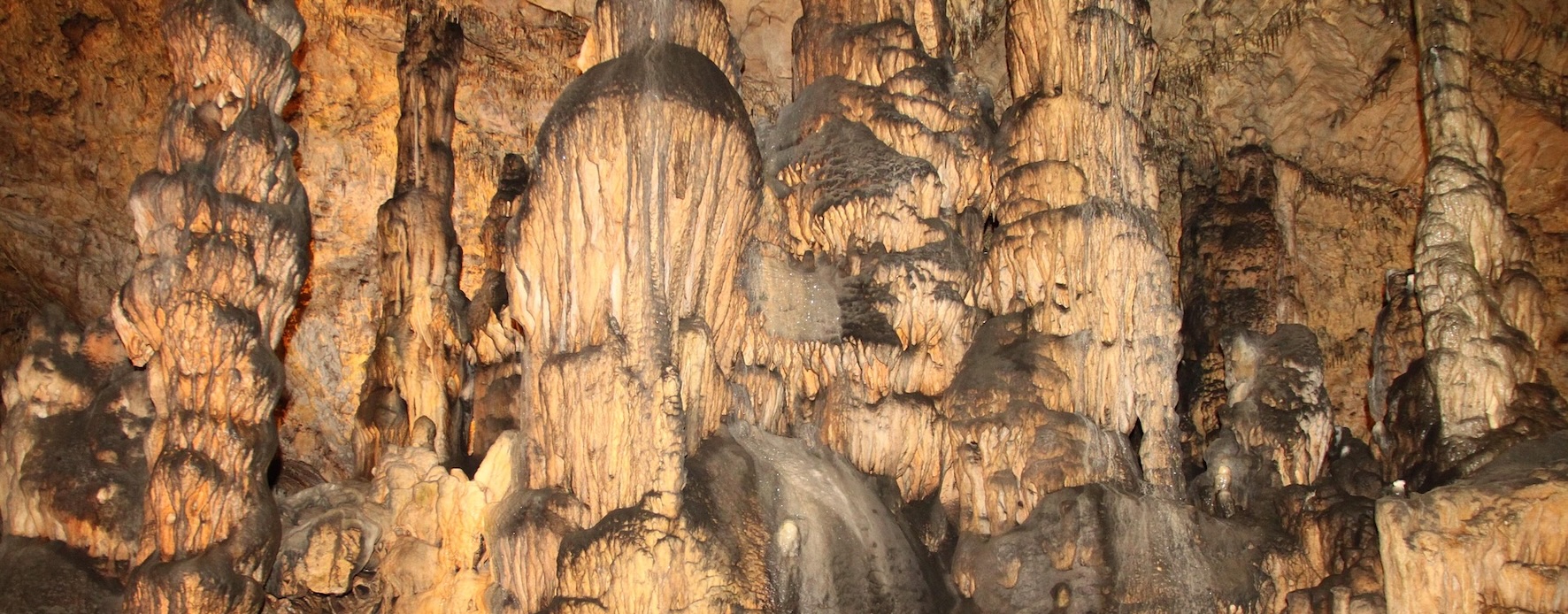 Negyvenéves az Aggteleki Nemzeti Park