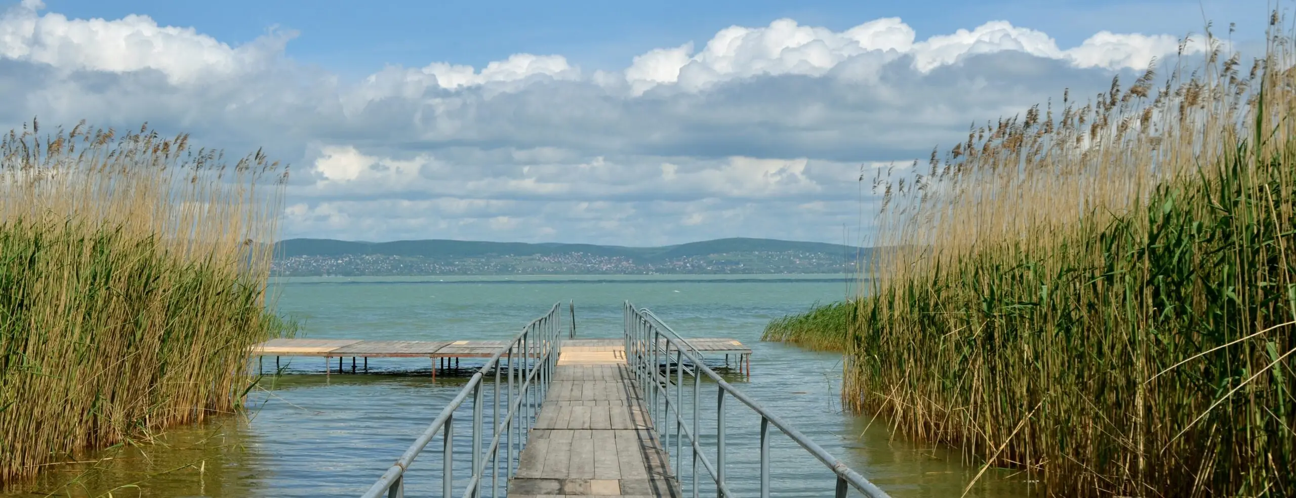 A Balatont egyszerre fojtogatja a beton, a nádasok pusztulása, a vegyszerek és a felmelegedő víz
