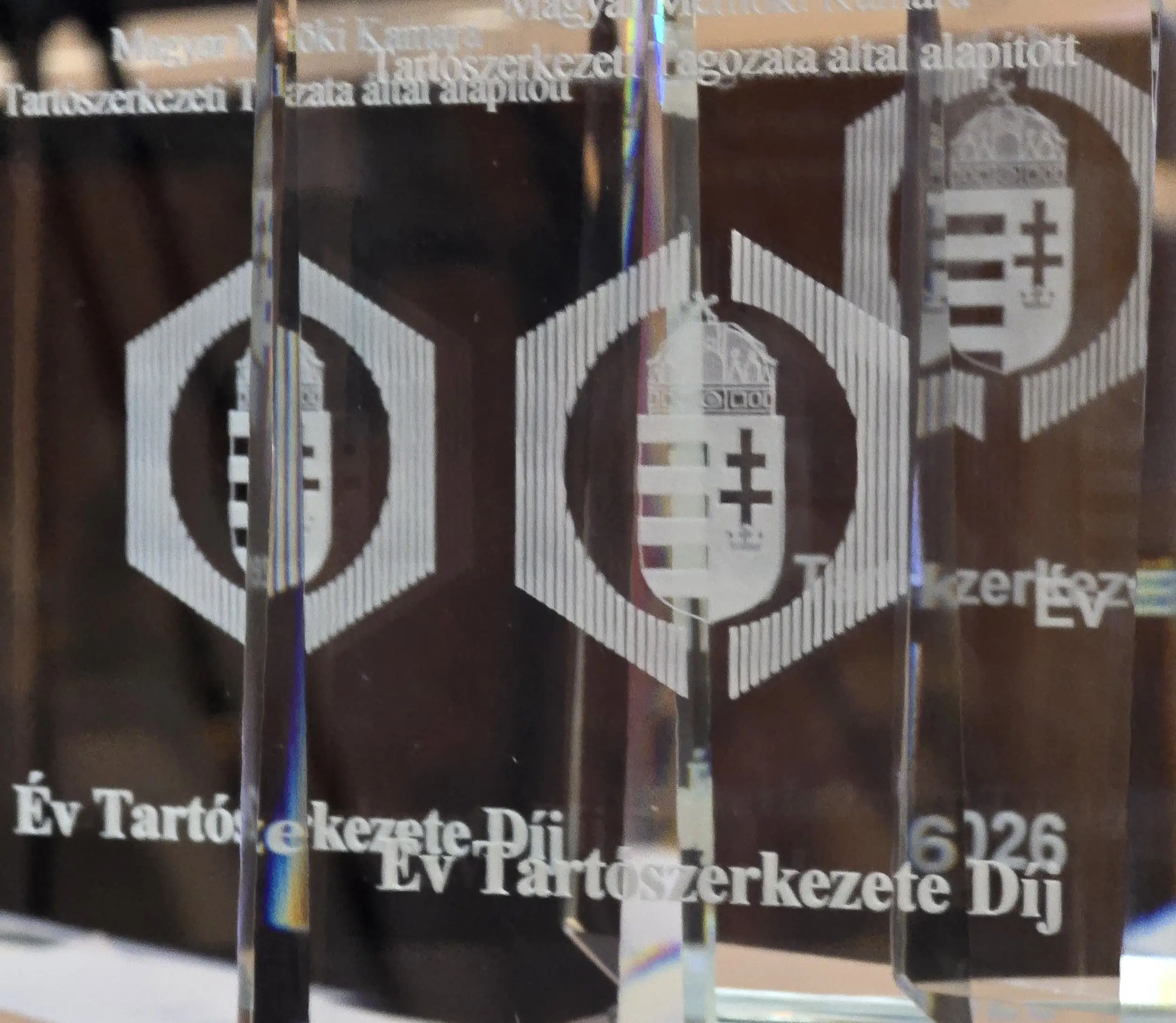 Az Év Tartószerkezete díj kitüntetett projektjei